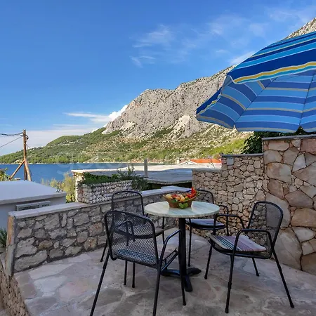 Near The In Drasnice Ii *