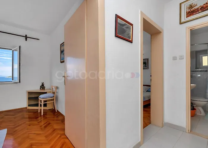 Near The In Drasnice Ii 아파트