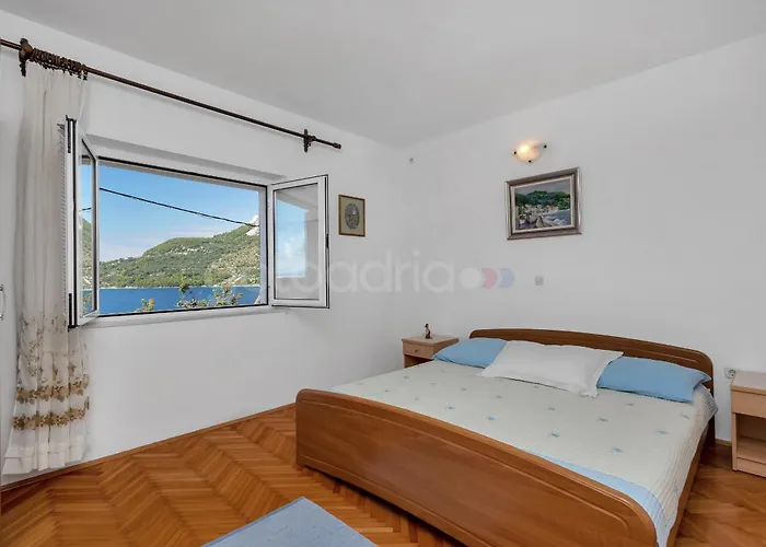 Near The In Drasnice Ii 아파트